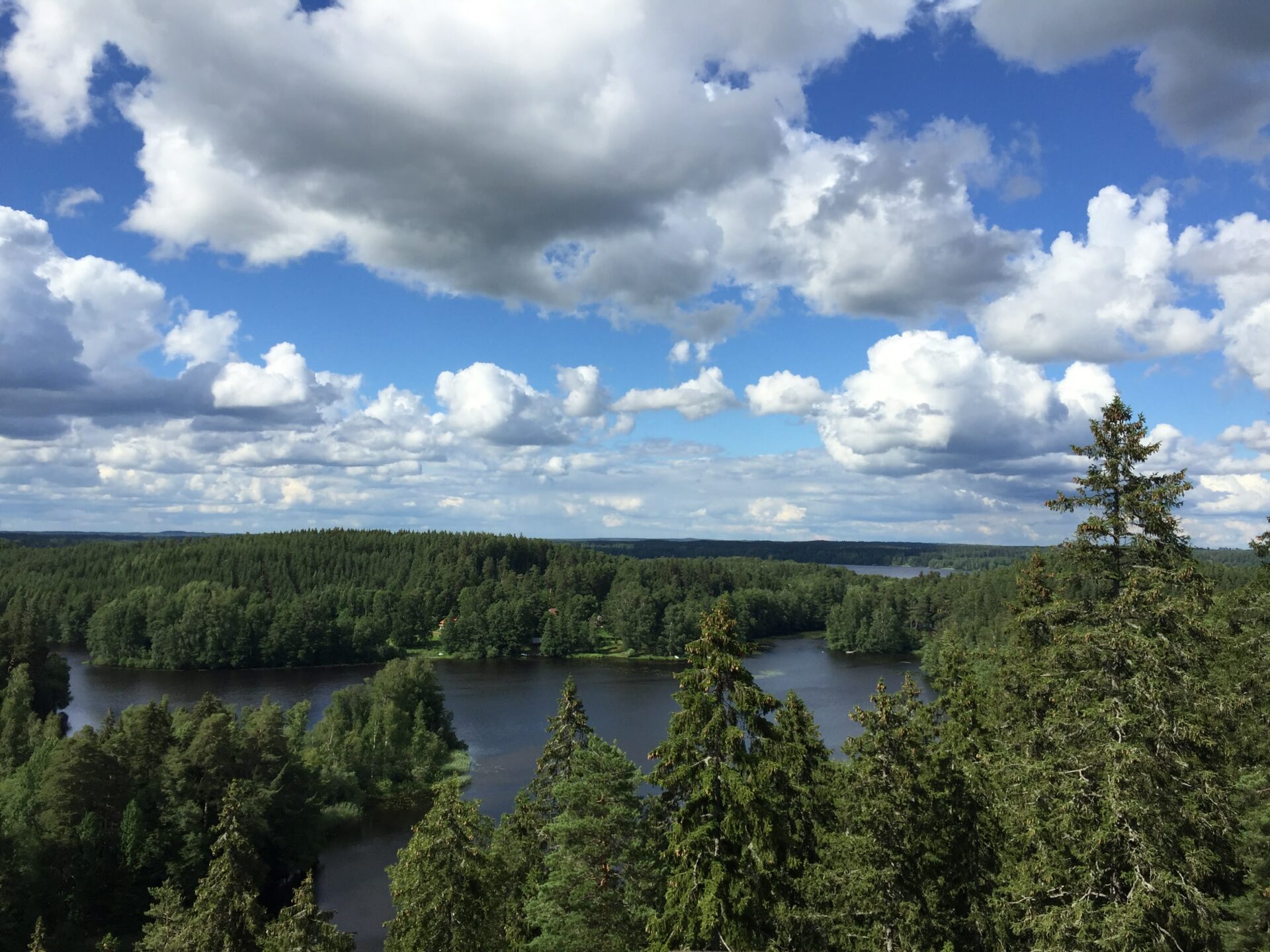 Kesäinen maisemakuva, jossa näkyy pilvitaivas ja metsää.