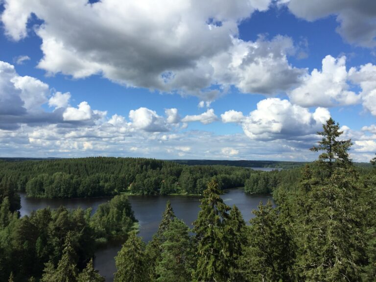 Kesäinen maisemakuva, jossa näkyy pilvitaivas ja metsää.